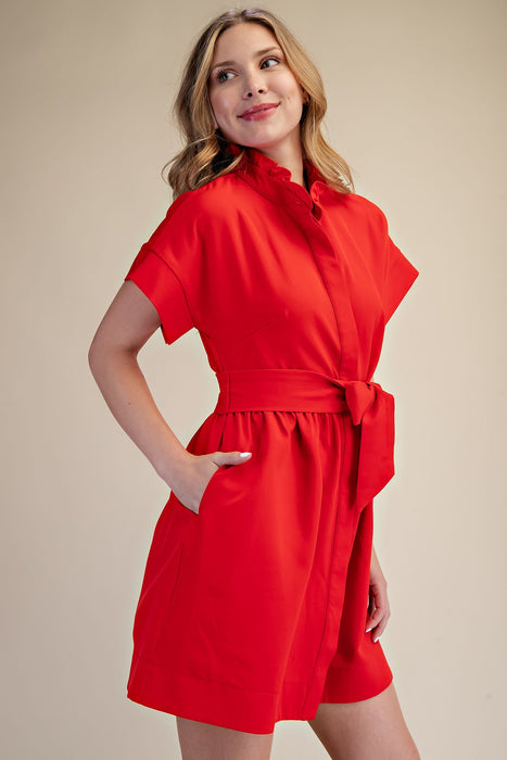 Ruffle Neck Tie Waist Mini Dress