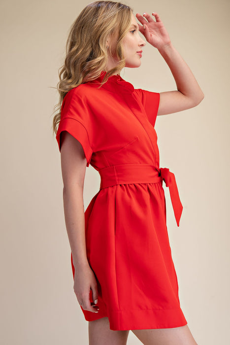 Ruffle Neck Tie Waist Mini Dress