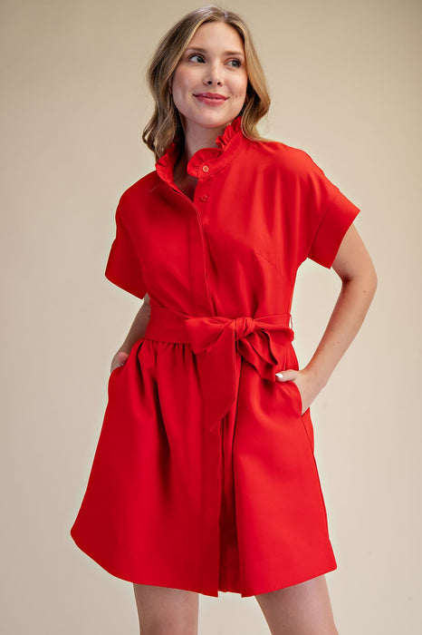 Ruffle Neck Tie Waist Mini Dress