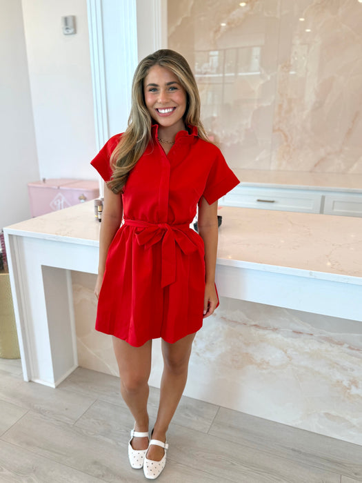 Ruffle Neck Tie Waist Mini Dress
