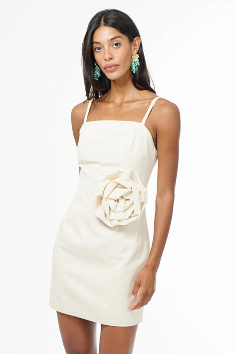 Tabitha Floral Applique Dress