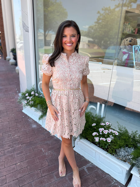 herbergers ladies dresses Hydrangea over dress