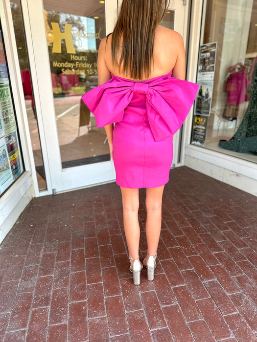 Bustier Bow Back Dress