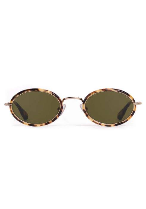 Kate - 12K +Nikko Tortoise