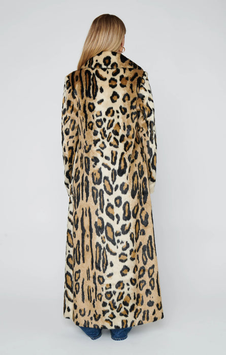 Miss Cindy Overcoat