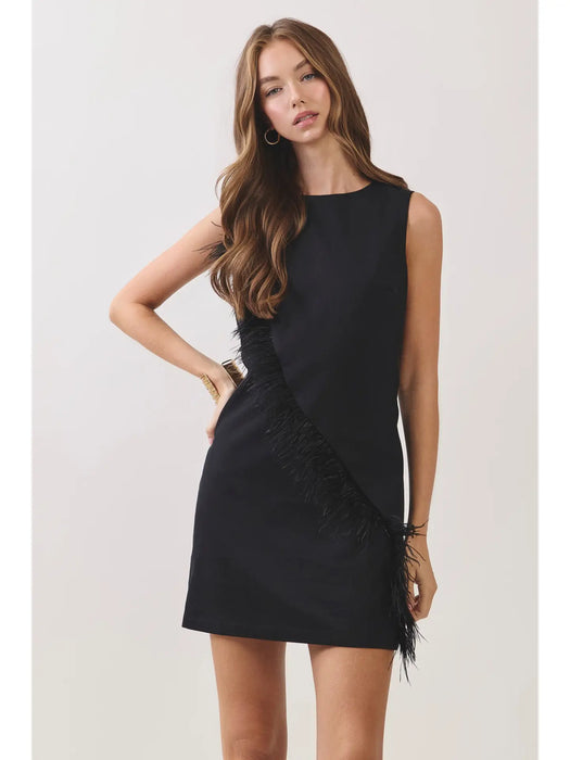 Mini Feather Shift Dress